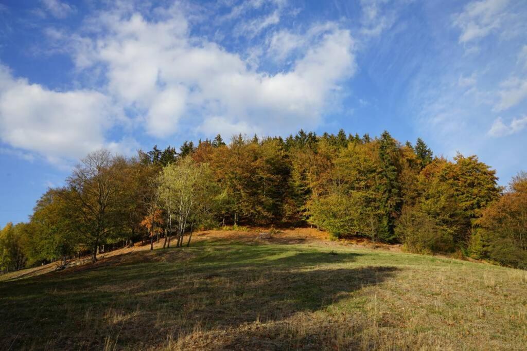 Ferienhaus Hellaberg Langenbach  Esterno foto
